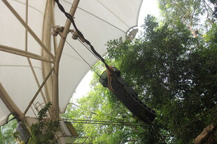 户外悬挂结构下的绿植景观