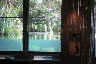 窗外绿意盎然的自然景致