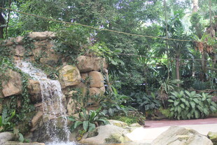 室内假山流水绿植景观