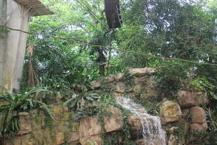 庭院中的小型瀑布景观