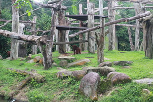 户外木质游乐设施景观