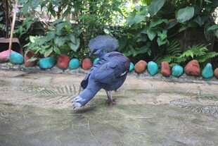 雨中孩童撑伞玩耍瞬间