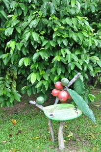 手推车上的新鲜红苹果