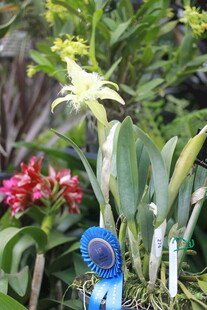 多彩花卉与蓝色标牌景观