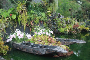 船形花盆中的多彩植物景观