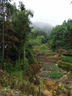 山间梯田 云雾缭绕的美景