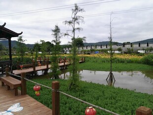 乡村田园景观 宁静好去处