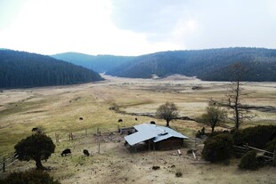 普达措森林公园