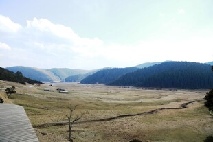 普达措森林公园