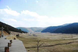 普达措森林公园