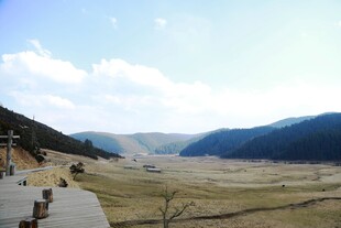 普达措森林公园