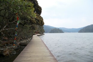 普达措森林公园