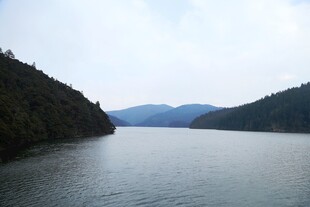 普达措森林公园