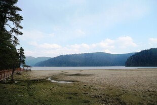 普达措森林公园