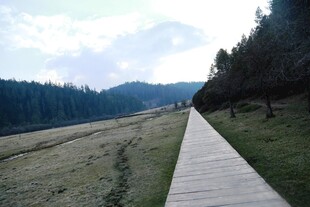 普达措森林公园