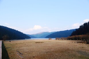 普达措森林公园