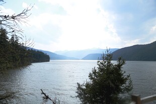 普达措森林公园