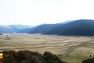 普达措森林公园