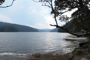 普达措森林公园