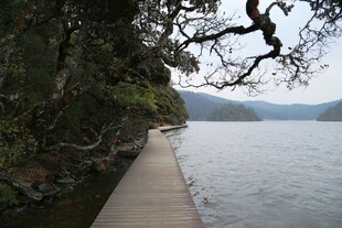 普达措森林公园