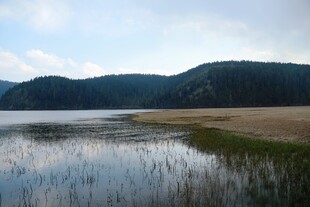 普达措森林公园