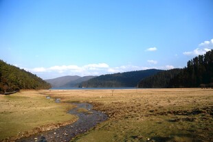 普达措森林公园