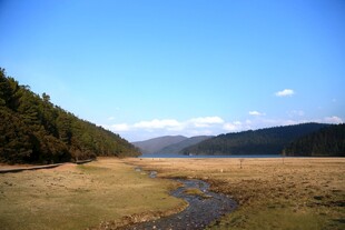 普达措森林公园