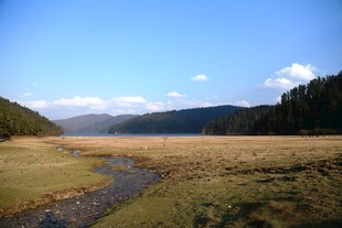 普达措森林公园