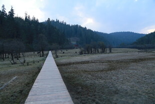 普达措森林公园