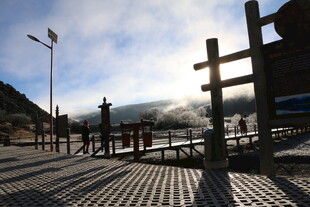 普达措森林公园