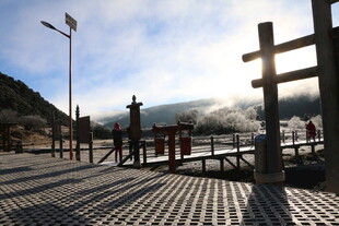 普达措森林公园