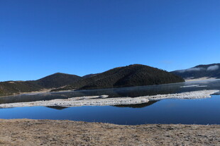 普达措森林公园