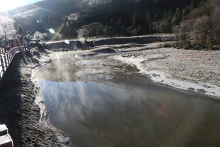 普达措森林公园