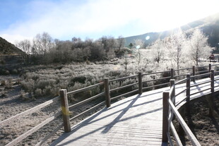 普达措森林公园