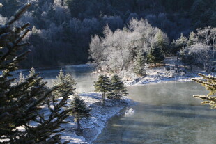 普达措森林公园