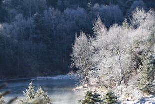 普达措森林公园