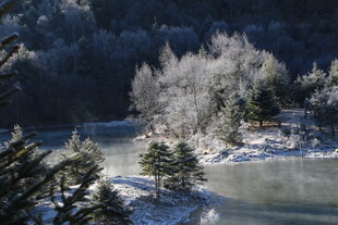 普达措森林公园