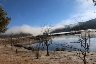 普达措森林公园