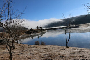 普达措森林公园