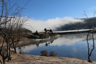 普达措森林公园
