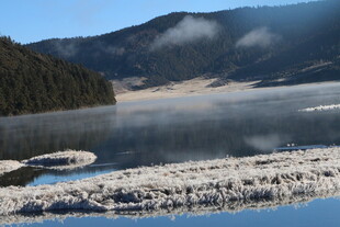 普达措森林公园