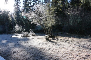 普达措森林公园