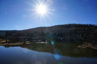 普达措森林公园