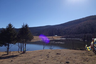 普达措森林公园