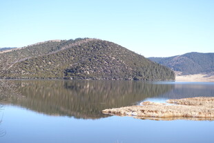 普达措森林公园