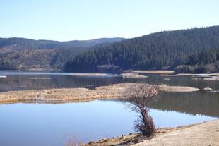 普达措森林公园