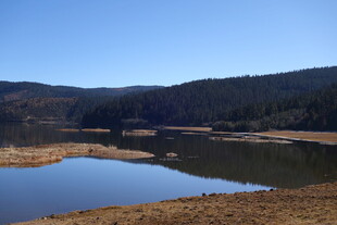 普达措森林公园