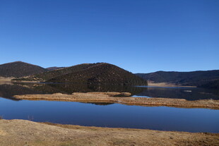 普达措森林公园