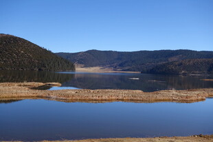 普达措森林公园