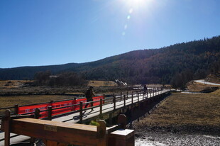 普达措森林公园